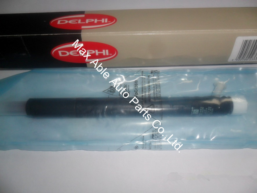 A6650170221 EJBR04401D SSANGYONG Delphi original common rail injector