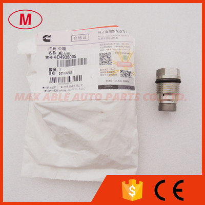 1110010013 Pressure Relief Valve for 4938005